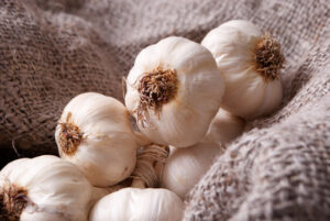 We Export Agricultural Products